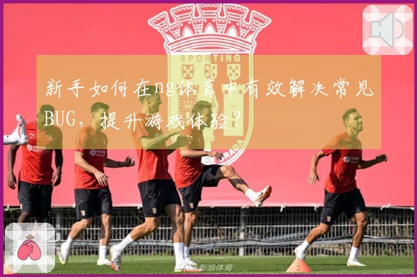 新手如何在ng体育中有效解决常见BUG，提升游戏体验？