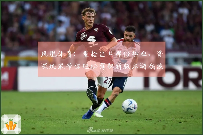 凤凰体育：重拾当年那份热血，资深玩家带你轻松驾驭新版本游戏技巧